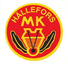 80- åringen - Rallytävling