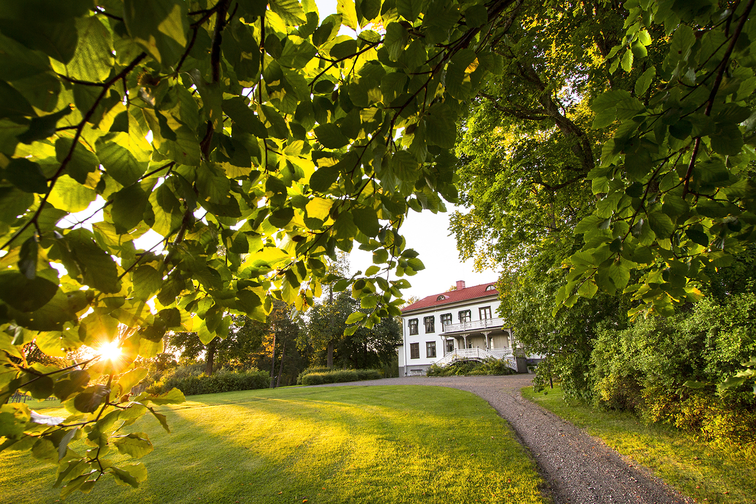 Alfred Nobels Björkborn