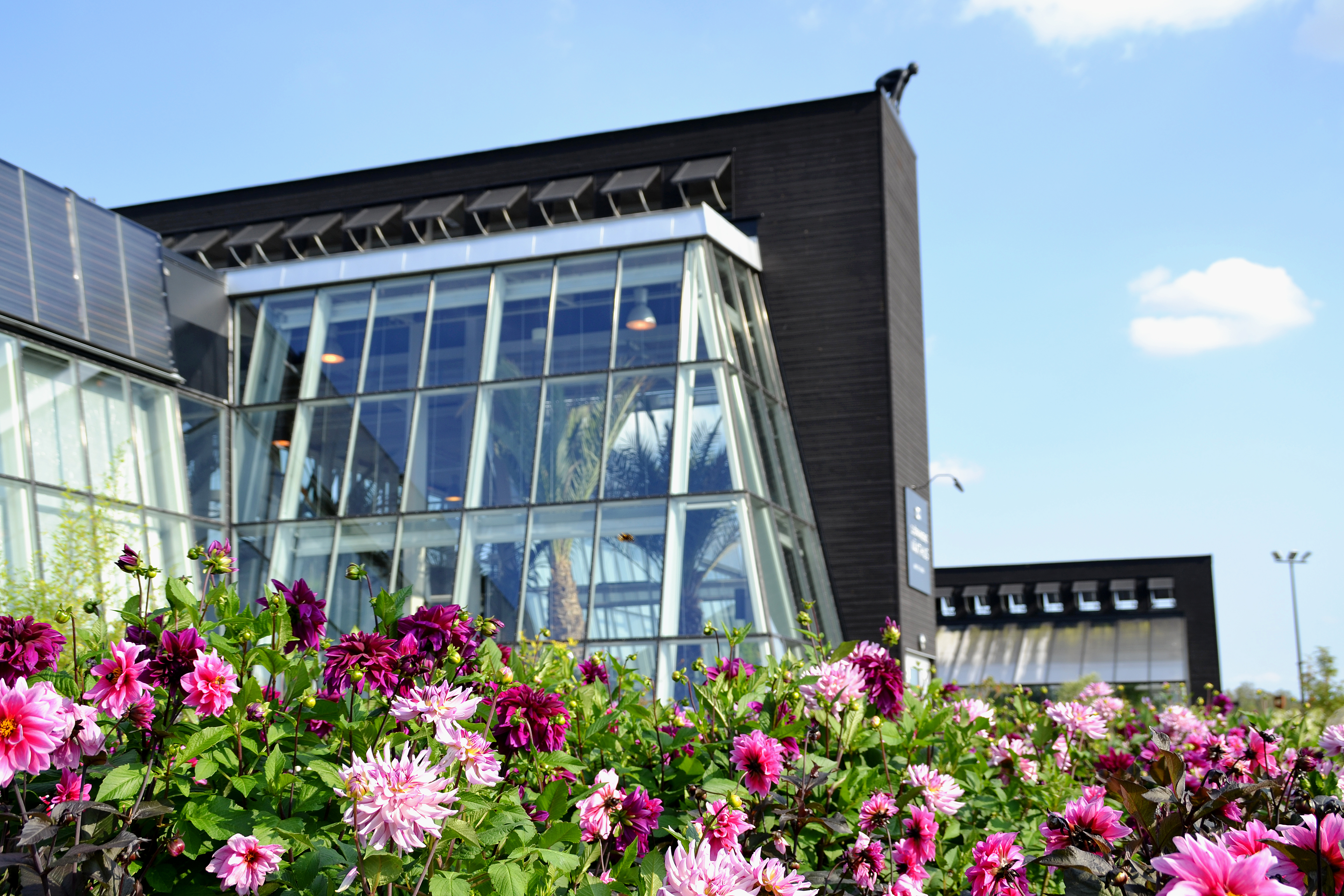 Sjöparkens växthus