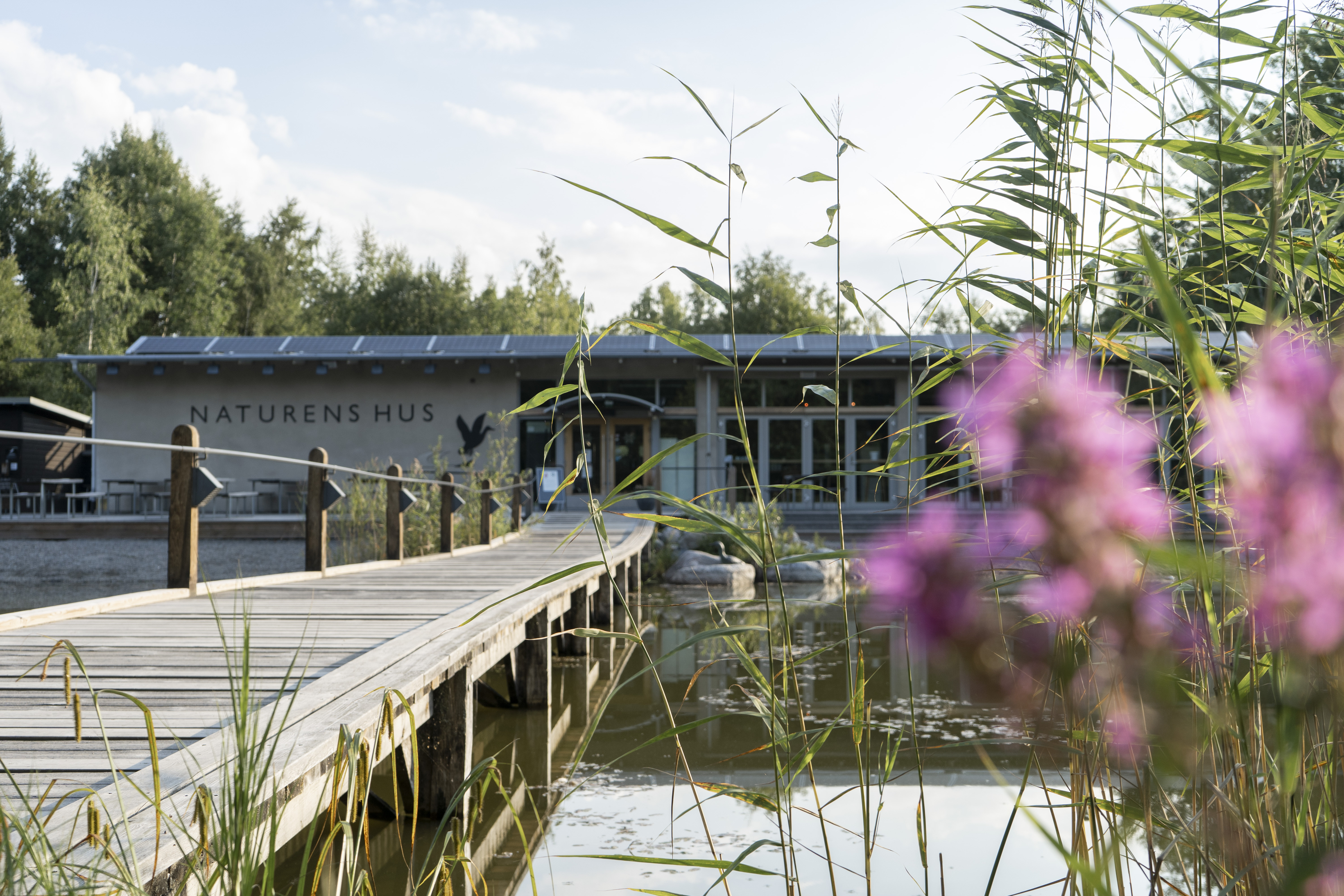 Naturens Hus Restaurang och Café