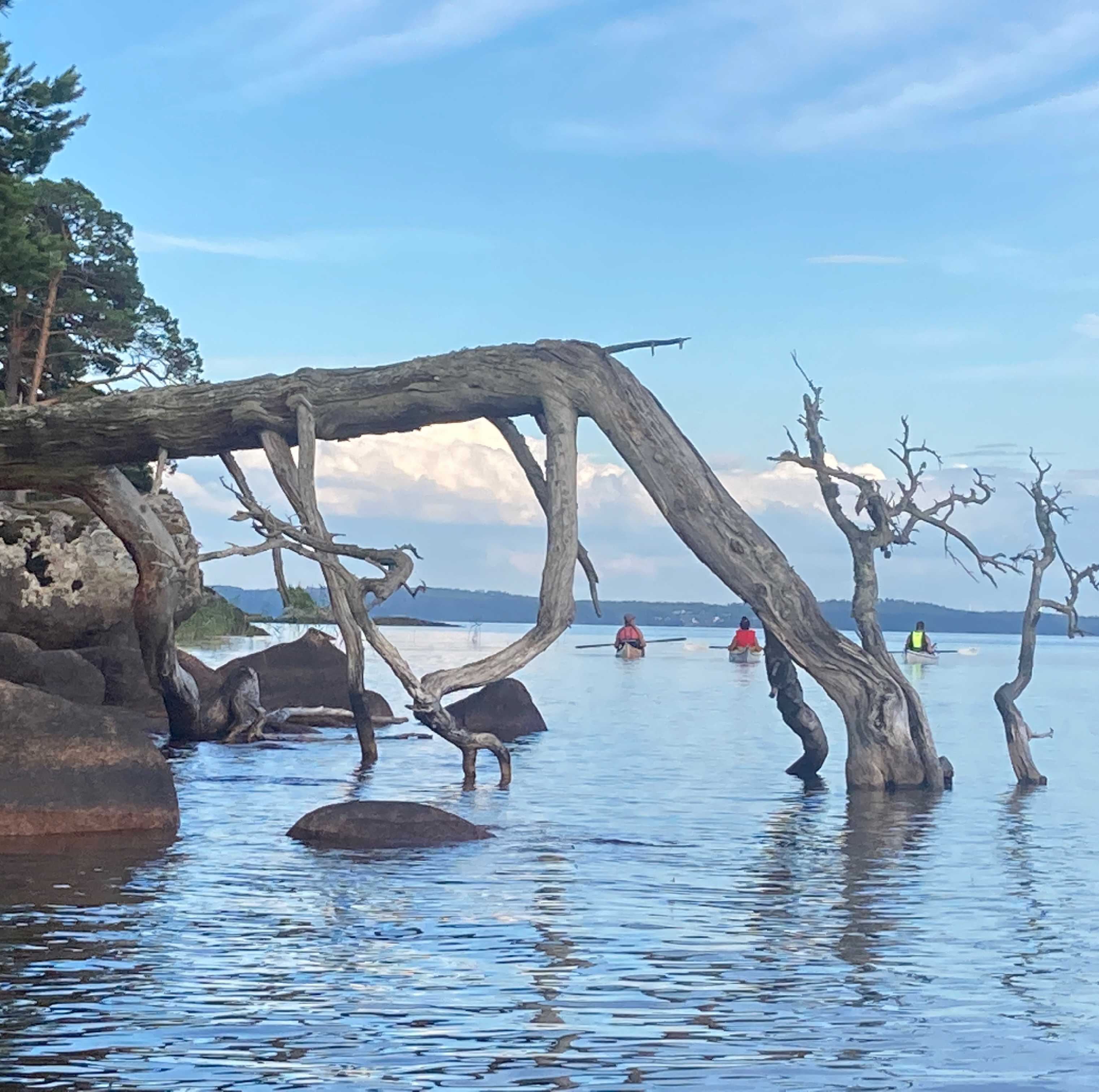 Naturvägledare norra Vättern