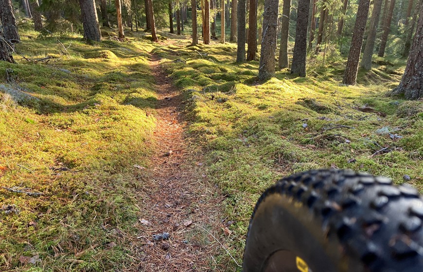 Hjulsjö 14, Sörviksleden