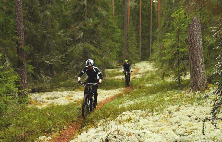 Hjulsjö 10, Vintervägen