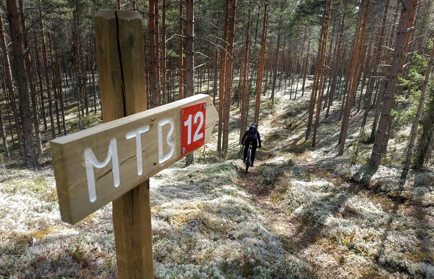 Hjulsjö 12, Fredsdalen