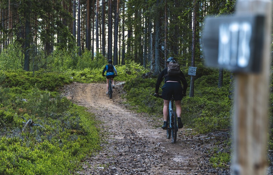 Kilsmo 2, Henrikslätt