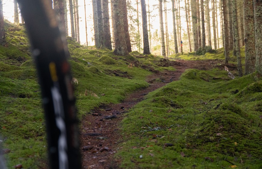 Brevens bruk 7, Göstas källa