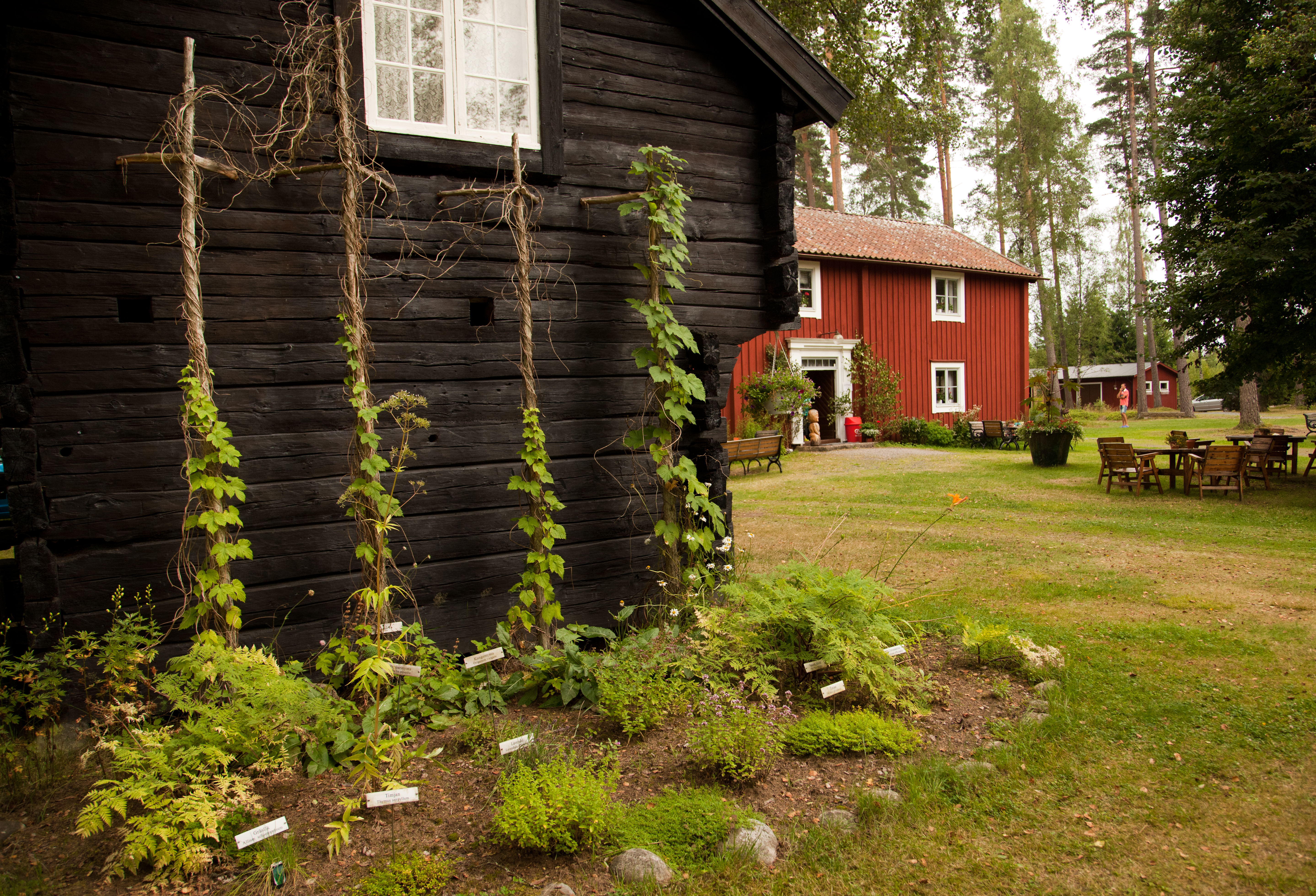 Fika på Byarums hembygdsgård
