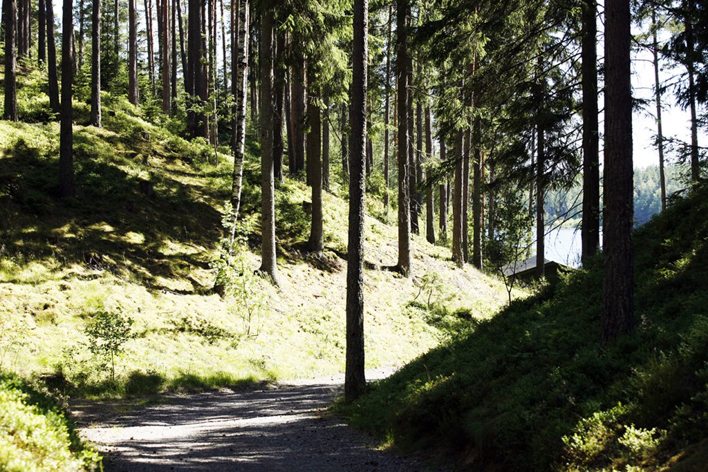 Västanå naturreservat
