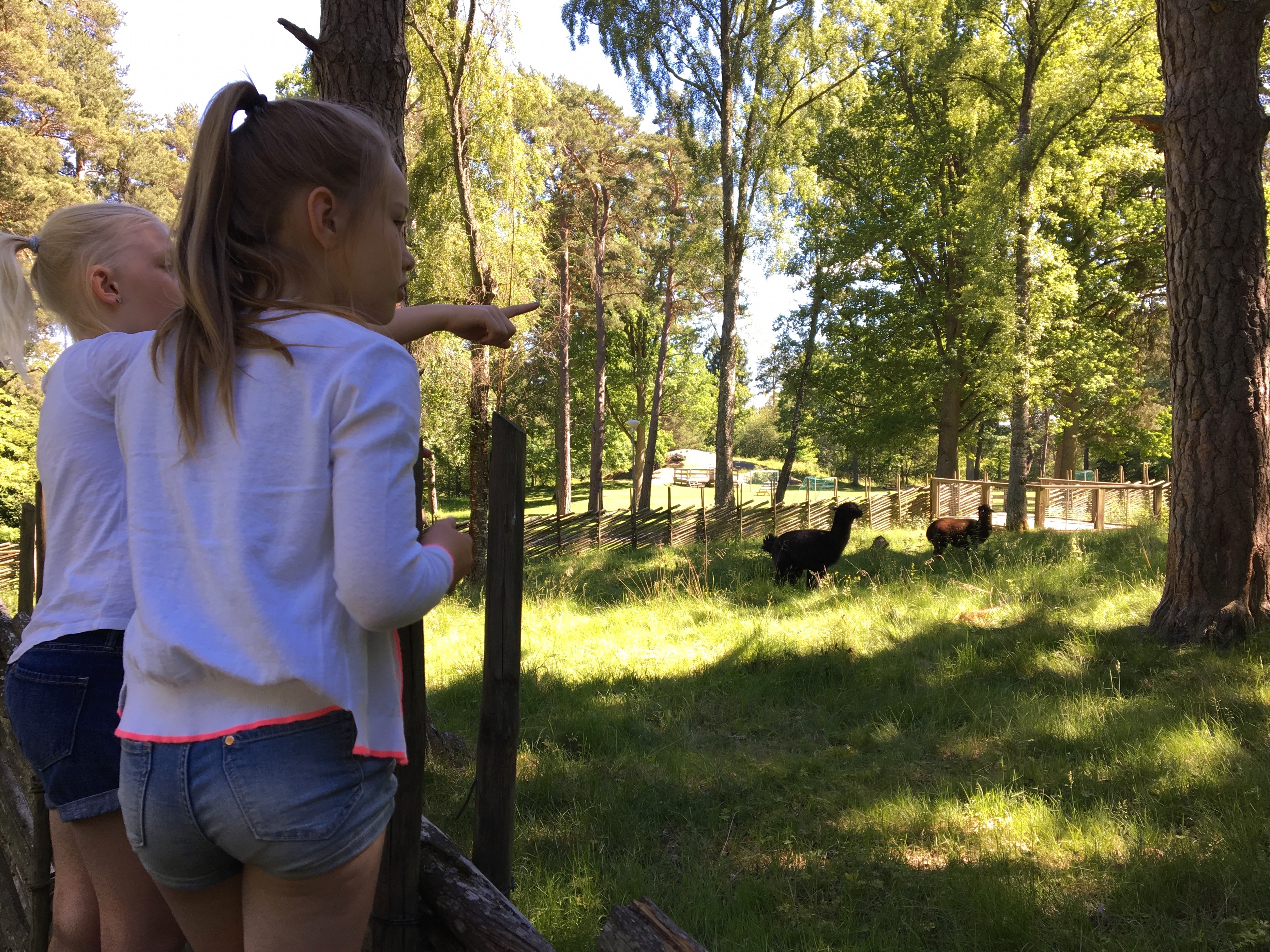 Stadsparken – hela stadens park