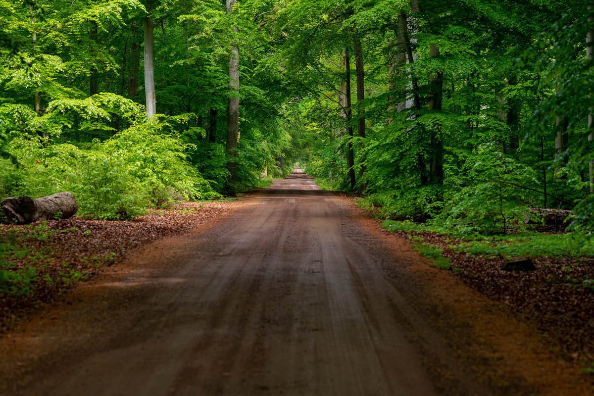 Visingsöslingan – Grön nordslinga