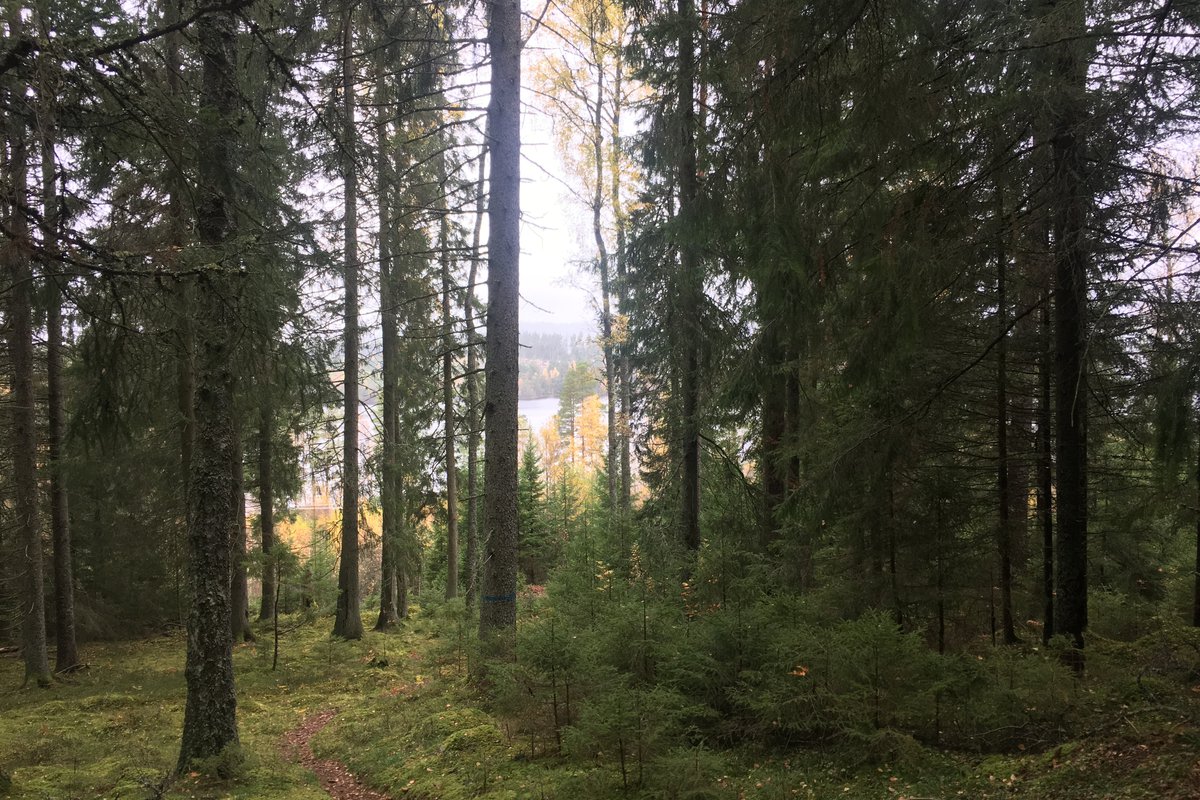 Kolarleden Bottnaryd