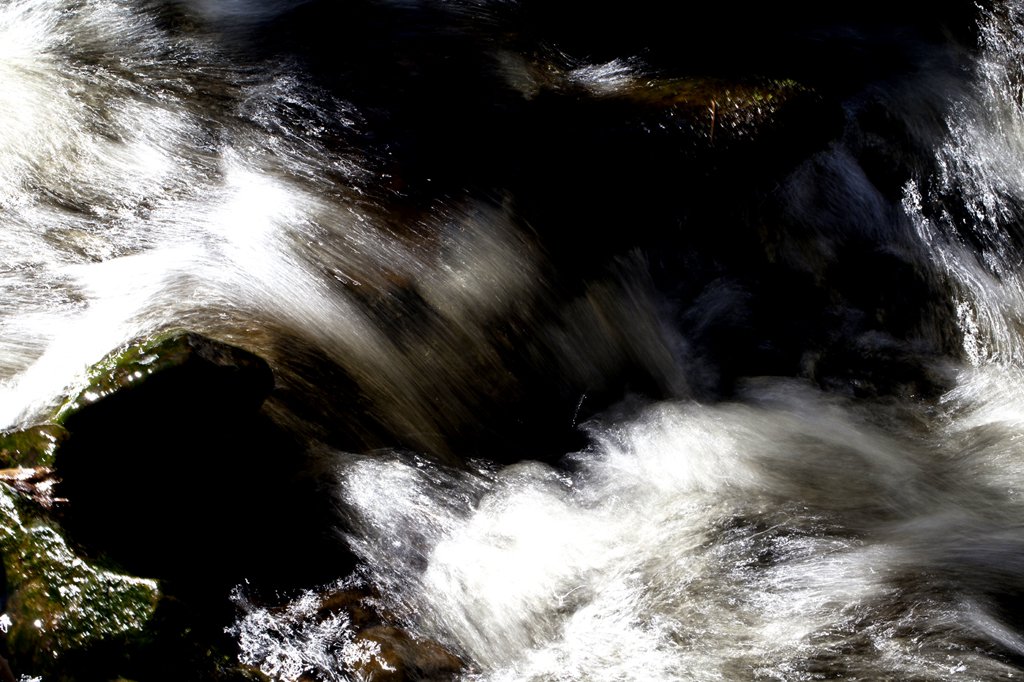 Girabäckens naturreservat från Visit Sweden