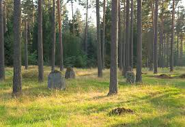 Gravfälten, Visingsö