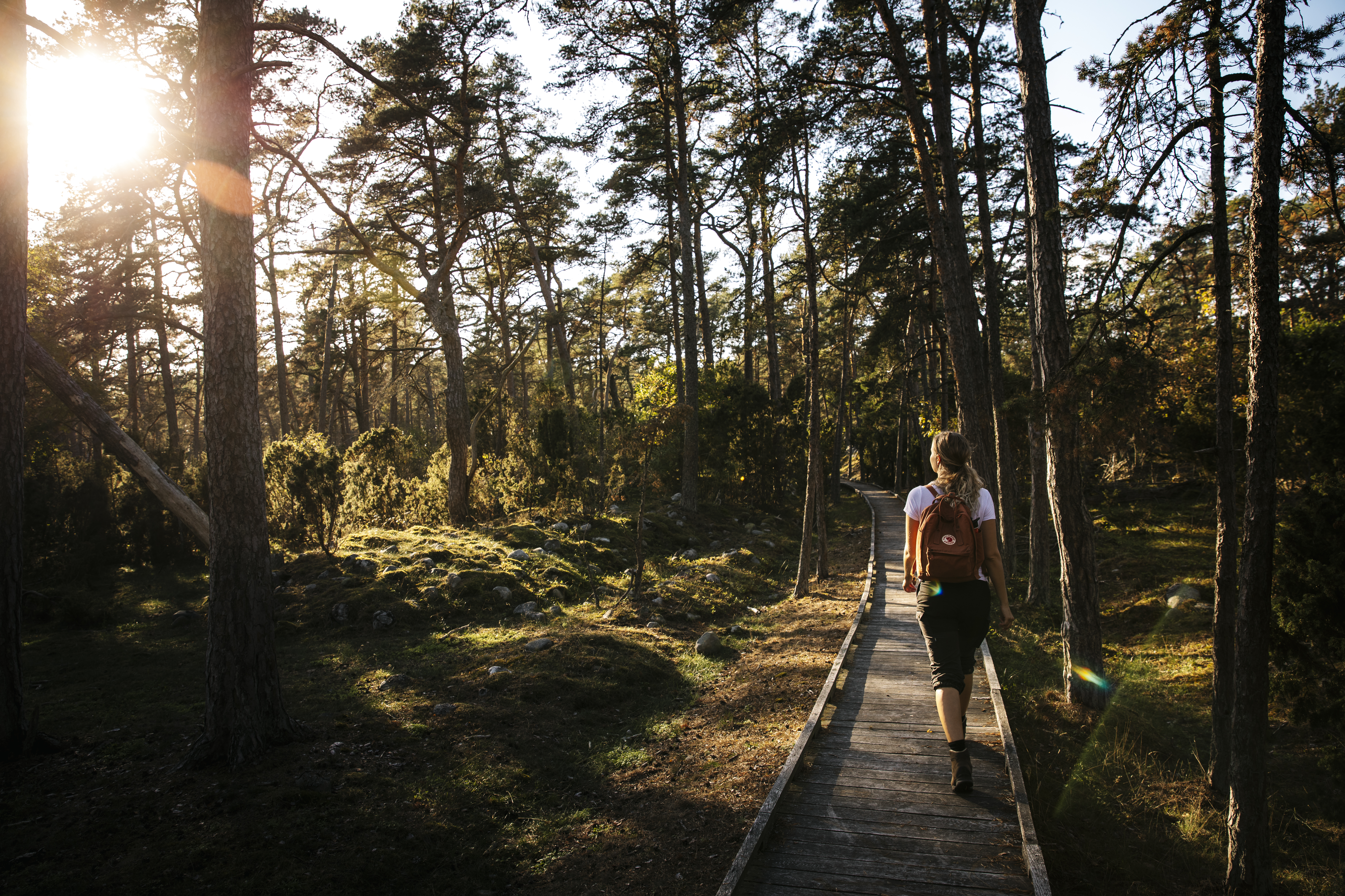 Naturum Trollskogen