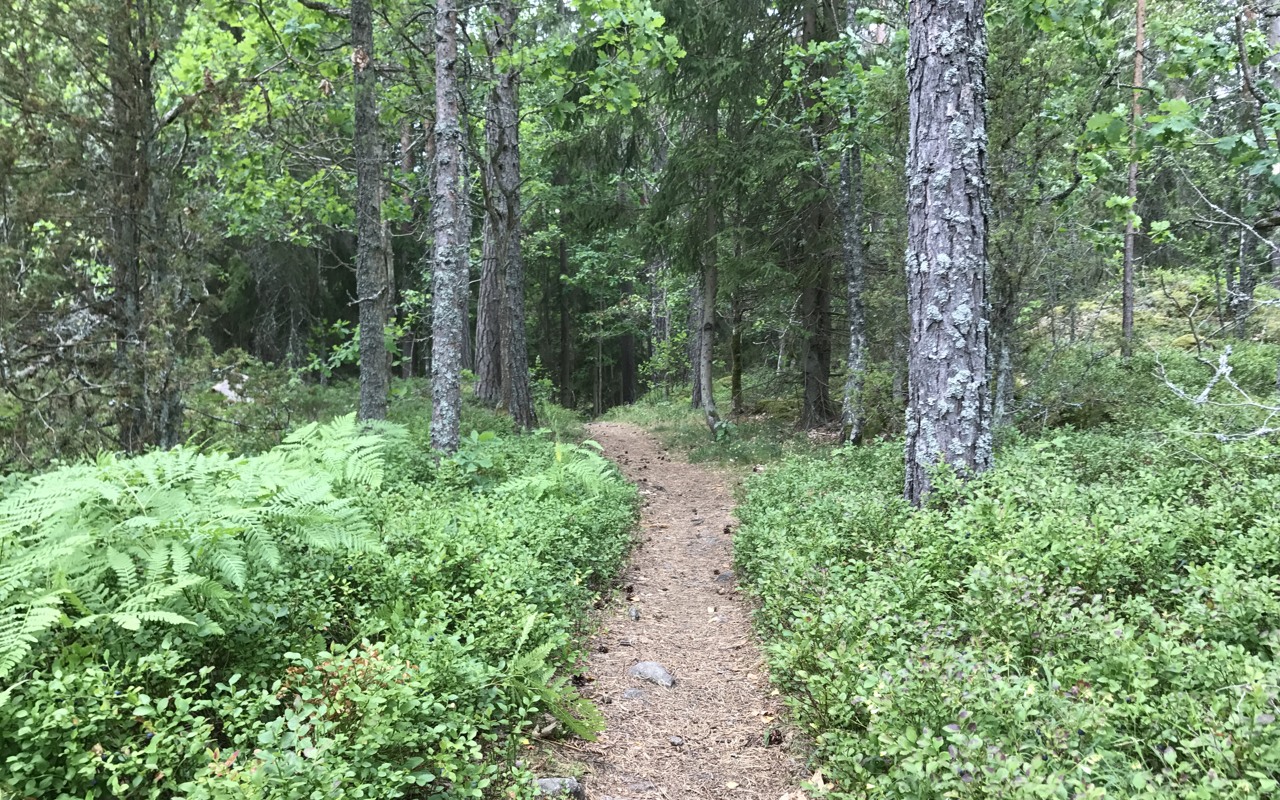 Mountainbikeleder Oskarshamn