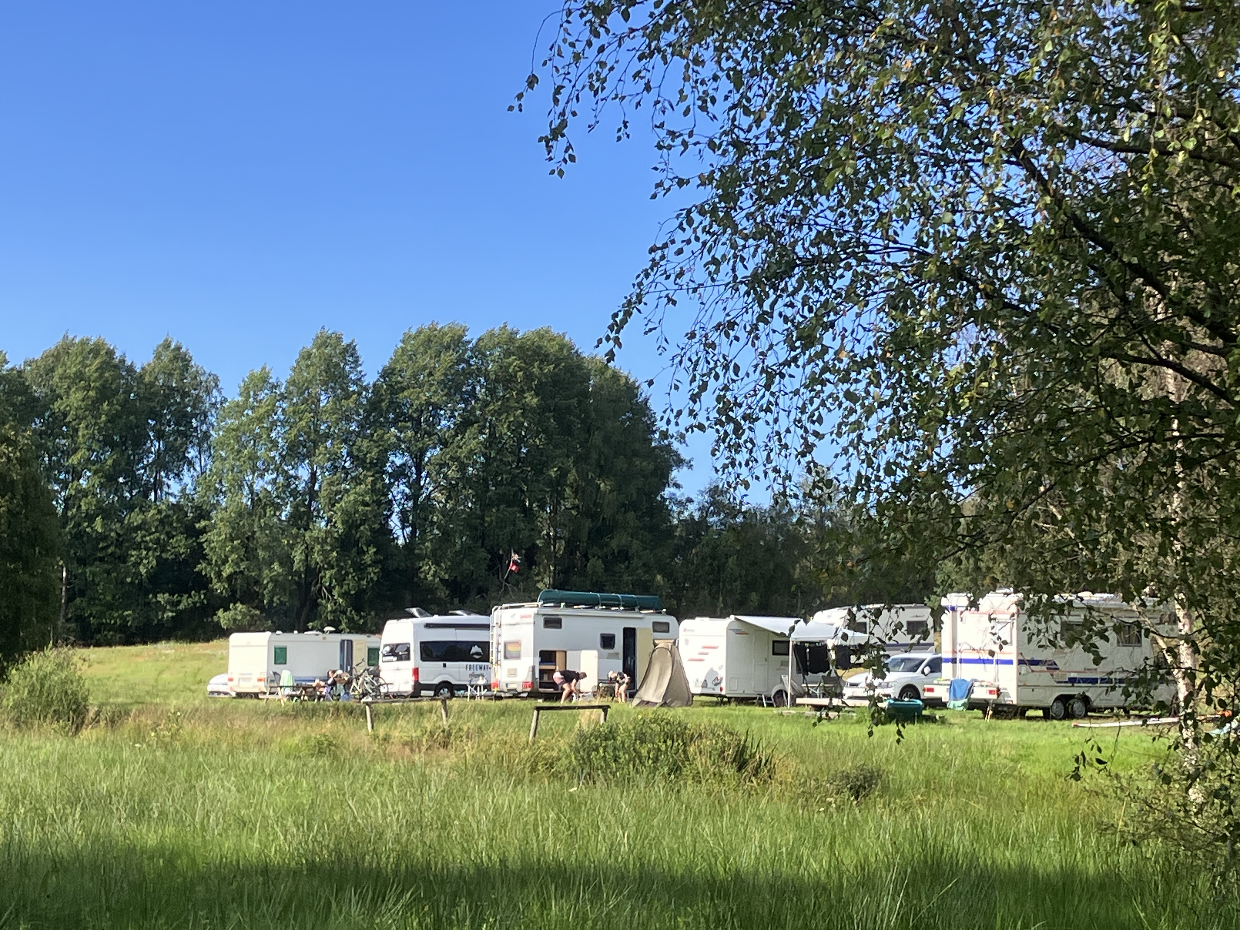 Hallsjö vildmarkscamping