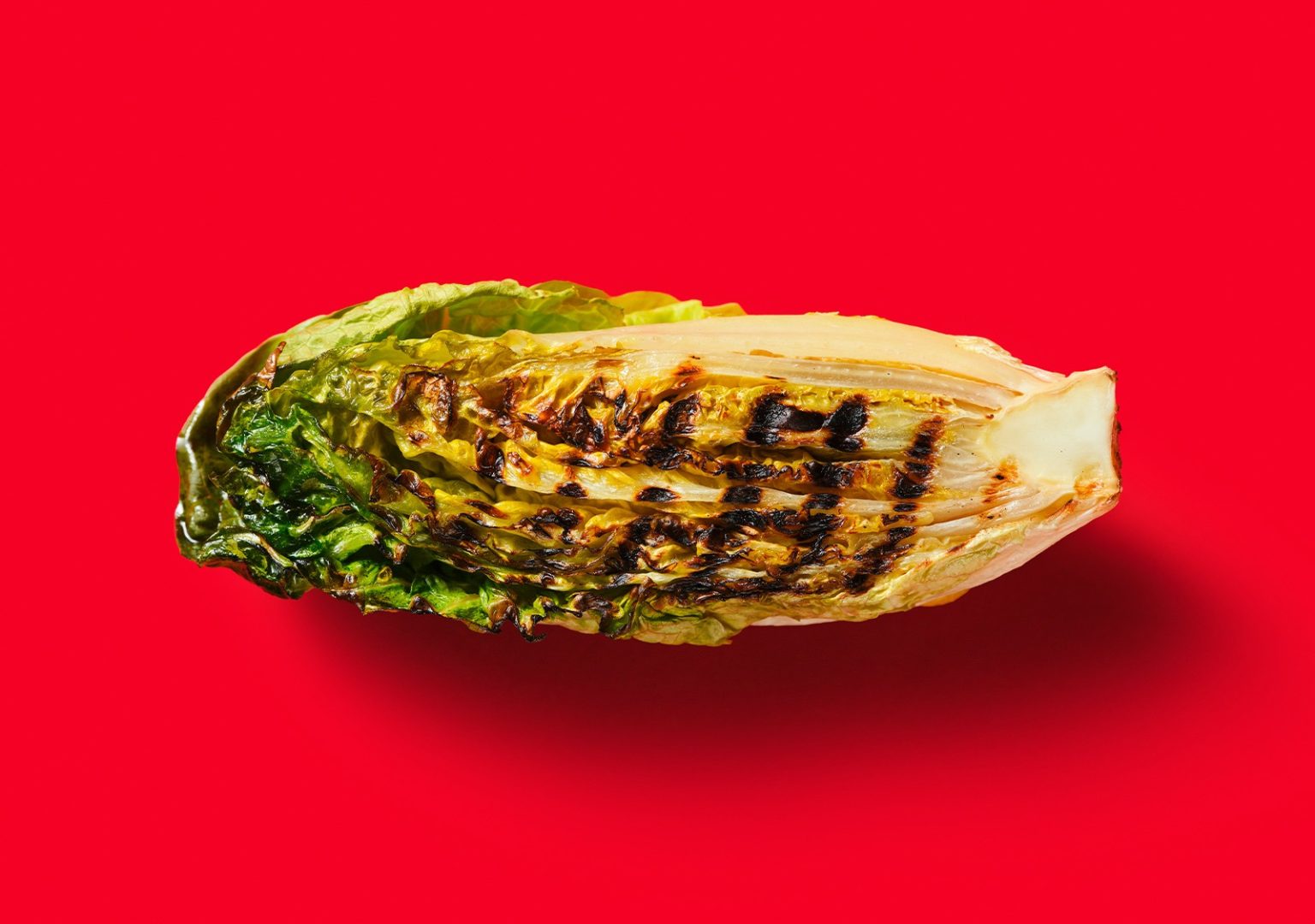 Grillen, Älmhult