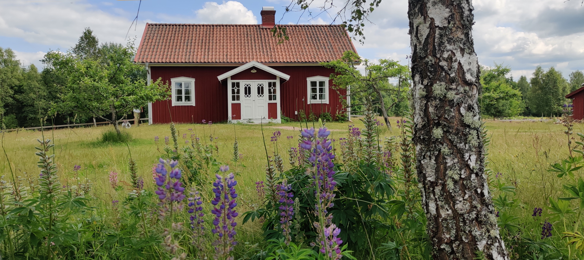 Stenshult Mellangård