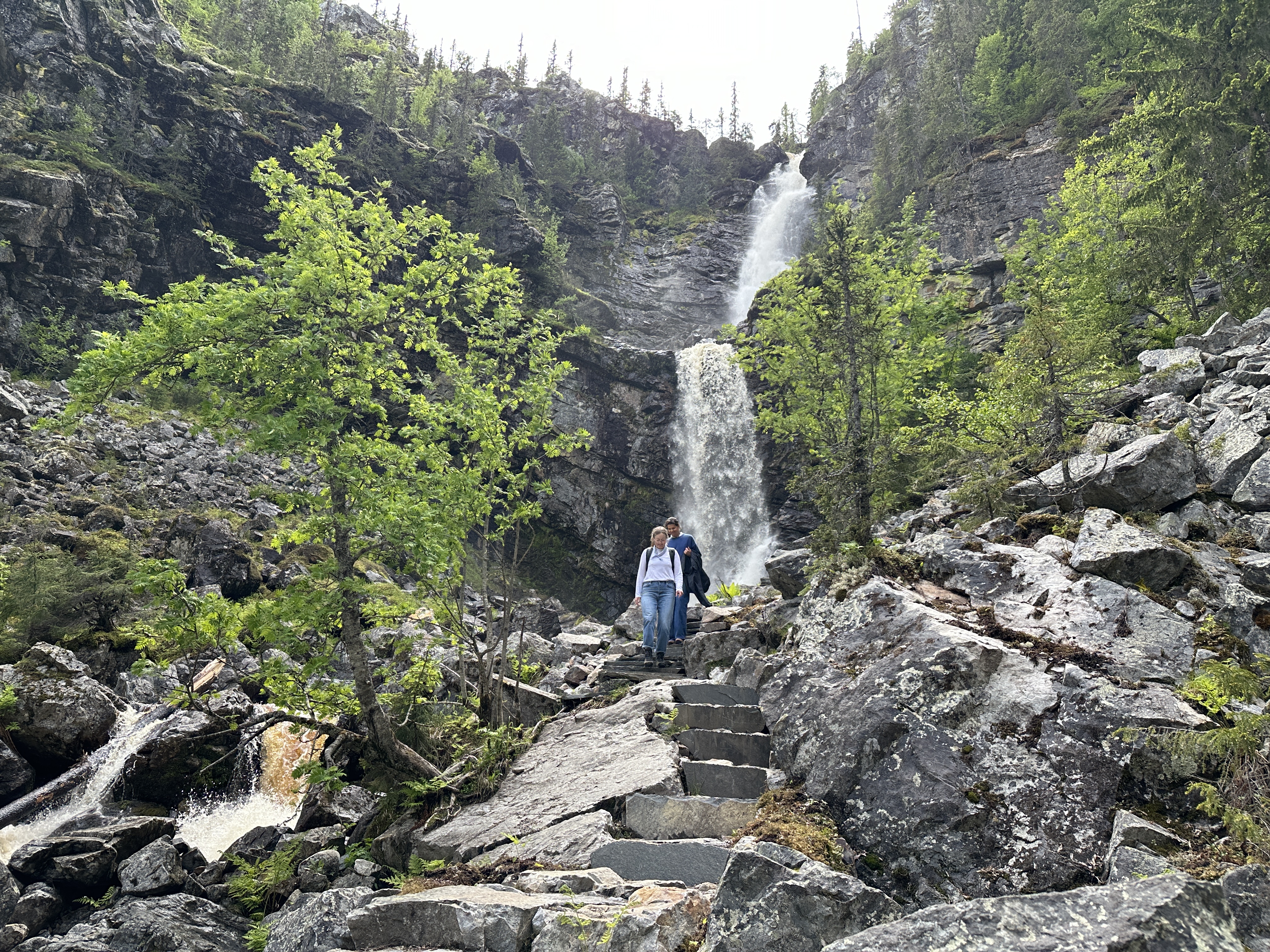 Fettjeåfallet