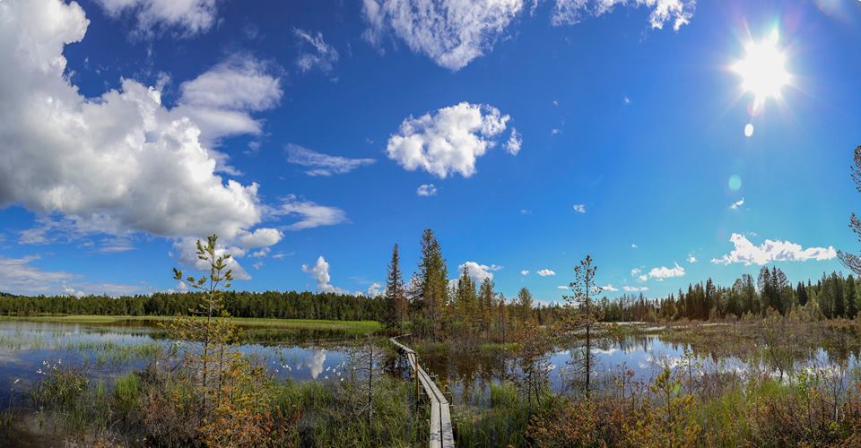 Tysjöarna Naturreservat